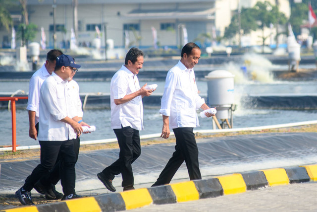 Presiden Joko Widodo beserta jajaran meninjau langsung lokasi budidaya ikan nila salin yang menggunakan eFeeder buatan eFishery sebagai alat pemberi makan otomatis untuk ikan nila salin Foto: Dok. Biro Pers Setpres