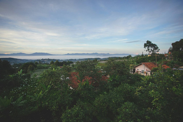 Wisata puncak di Bandung, foto hanya ilustrasi, bukan tempat sebenarnya: Unsplash/Devon Daniel