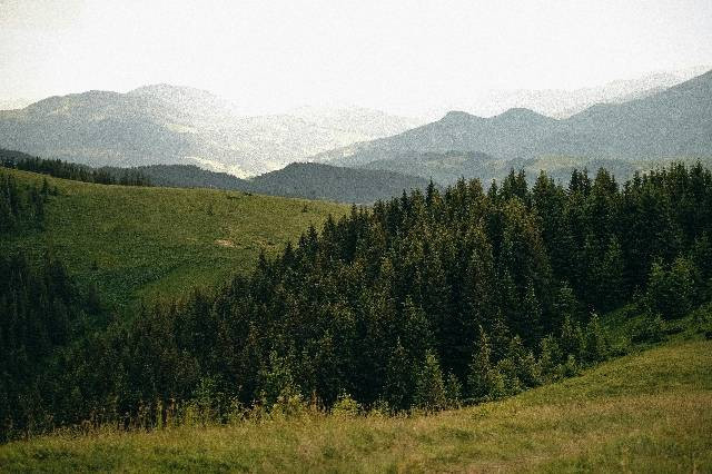 Gunung Cikuray, foto hanya ilustrasi, bukan gambar sebenarnya, Pexels/Вальдемар