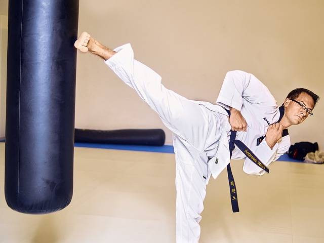 Ilustrasi teknik tendangan dalam taekwondo. Foto: Taekwondo-am-Tegernsee/Pixabay