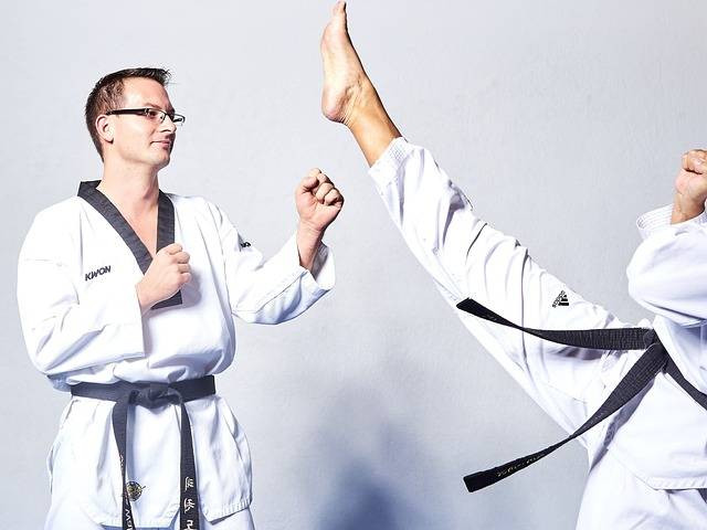 Ilustrasi latihan kardio dalam taekwondo. Foto: Taekwondo-am-Tegernsee/Pixabay