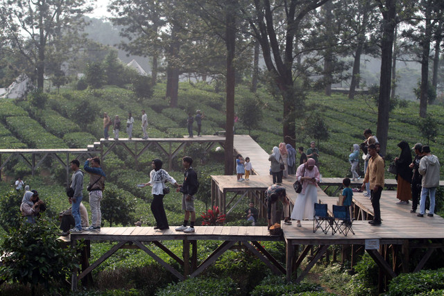 Wisatawan berlibur di Agrowisata Kebun Teh Gunung Mas, Puncak, Cisarua, Kabupaten Bogor, Jawa Barat, Jumat (10/5/2024). Foto: ANTARA FOTO/Yulius Satria Wijaya