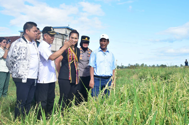 Menteri Pertanian Andi Amran Sulaiman (kanan) meninjau jalannya pertanaman padi di sejumlah sentra wilayah Provinsi Sulawesi Selatan, Sabtu (11/5/2024). Foto: Dok. Kementan