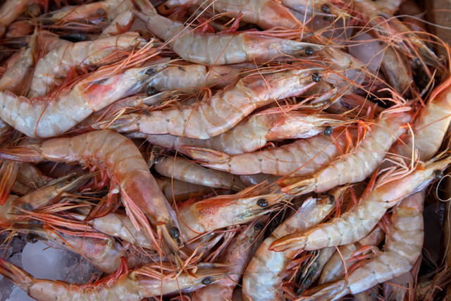 Gambar Produksi Terasi menggunakan Udang Sumber: Freepik.com