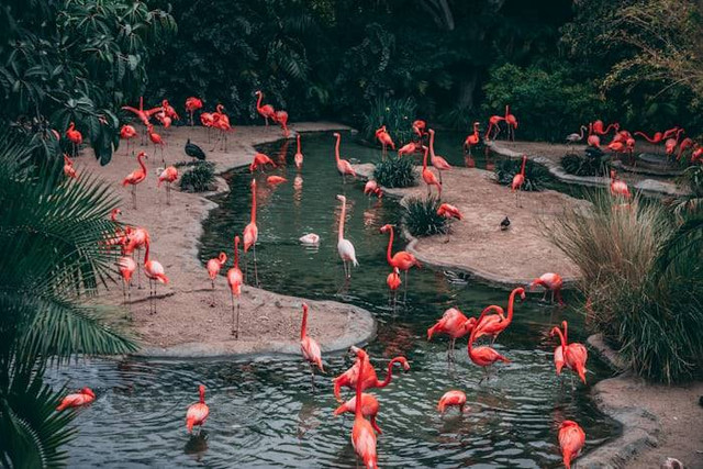 Tempat Wisata di Garut yang Lagi Hits (Foto hanya ilustrasi, bukan tempat sebenarnya) Sumber: unsplash.com/ Matthew Cabret