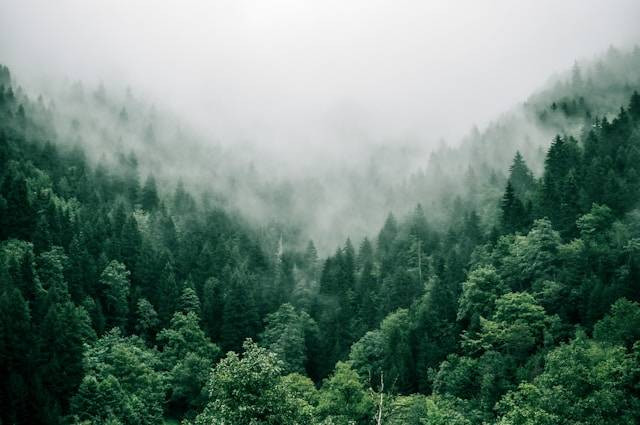 Upas Hill. Foto hanya ilustrasi, bukan tempat sebenarnya. Sumber: Unsplash/Marita Kavelashvili