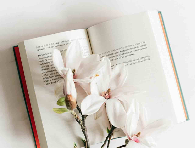 ilustrasi buku fiksi rimatis (Pexels)