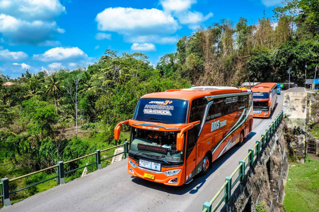 Ilustrasi bus pariwisata Foto: yahyaernanda/Shutterstock