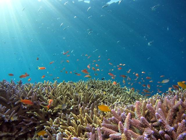 Tomini Bay Sulawesi Utara. Foto hanyalah ilustrasi, bukan tempat yang sebenarnya. Sumber: Hiroko Yoshii