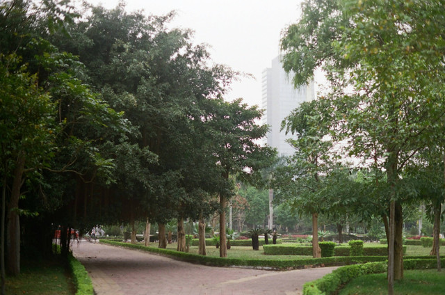 Taman Surya Balai Kota Surabaya. Foto hanya sebagai ilustrasi, bukan tempat sebenarnya. Sumber: Unsplash/Vy Duong.