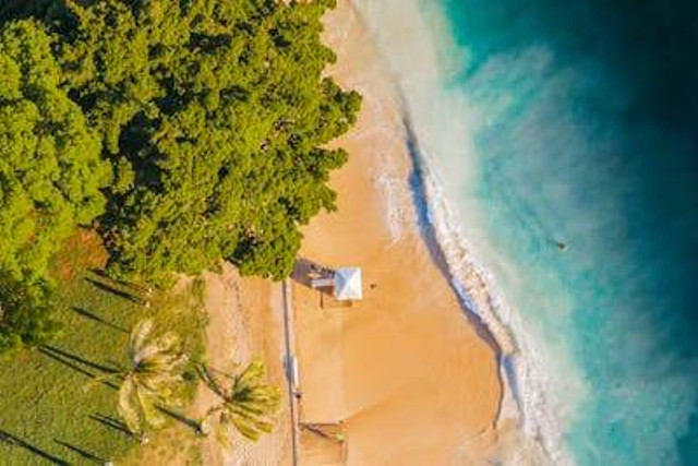 Ilustrasi iklim di asia tenggara. Foto: Pexels
