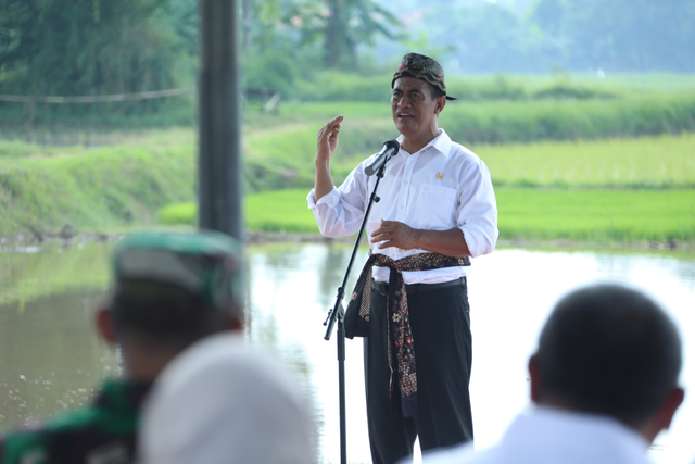 Menteri Pertanian Andi Amran Sulaiman saat meninjau pertanaman di Kelurahan Bancaran, Kabupaten Bangkalan, Jawa Timur, Selasa (14/5/2024). Foto: Dok. Istimewa