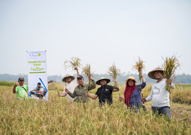 Maksimalkan Potensi Lahan Pertanian, IZI Bersama Lintasarta Berhasil Panen Raya