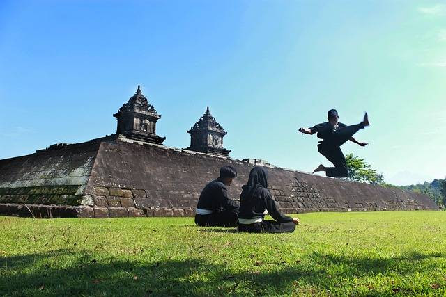 Ilustrasi beladiri pencak silat berasal dari negara Indonesia. Foto: Pixabay/AgusTriyanto