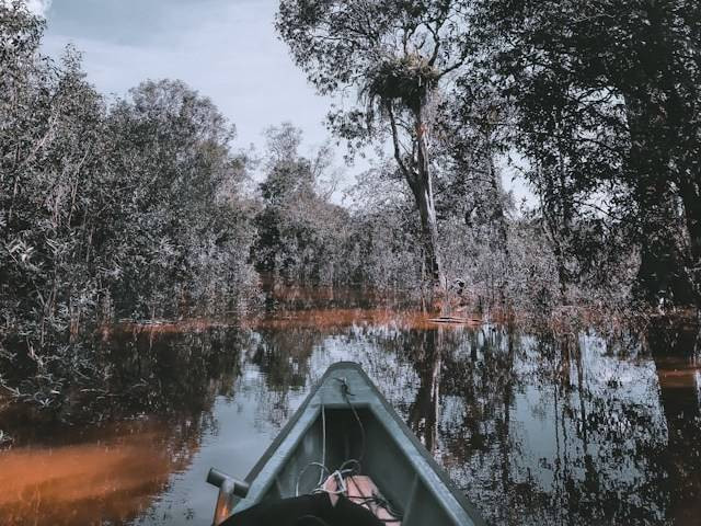 Taman Nasional Danau Sentarum. Sumber: Unsplash/Yunus Yunus