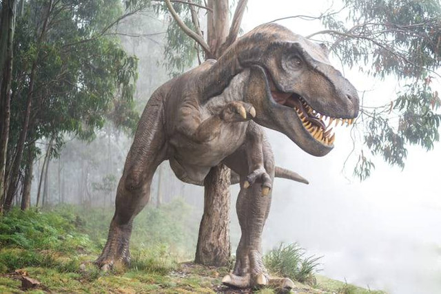 Garut Dinoland (Foto hanya ilustrasi, bukan tempat sebenarnya) Sumber: unsplash.com/ Fausto García-Menéndez