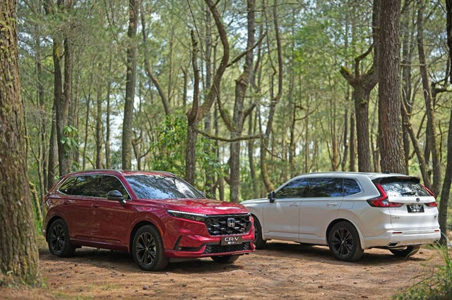 Ilustrasi mobil compact SUV. Foto: AHM