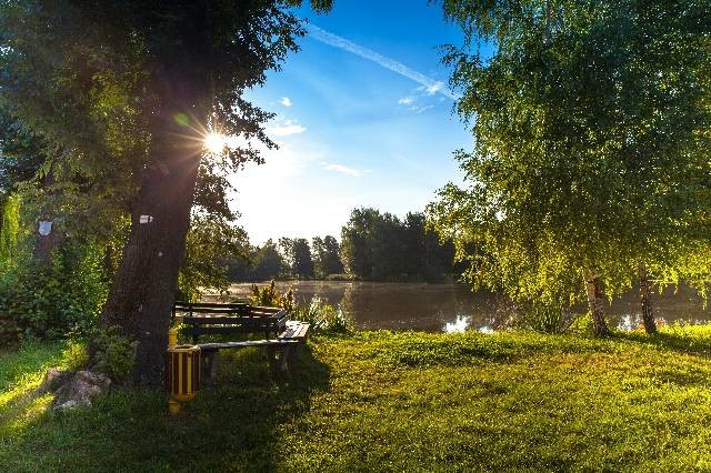 Taman Cilaki, foto hanya ilustrasi, bukan tempat sebenarnya, Pexels/Torsten Kellermann