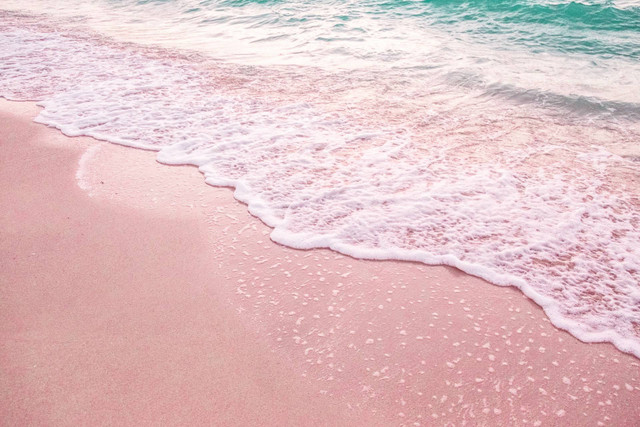 Pantai Pink Lambu Bima.. Foto hanya ilustrasi, bukan tempat sebenarnya. Sumber: Unsplash/mo