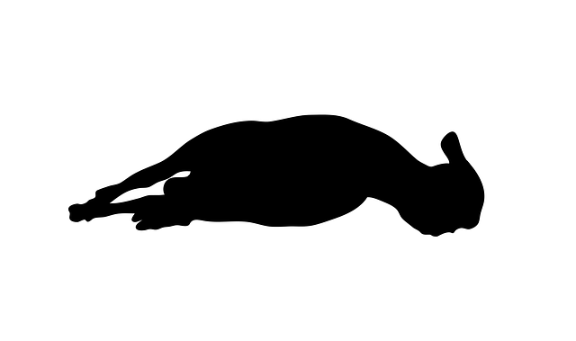 Ilustrasi Cara Pembagian Daging Kurban. Foto: Pixabay/BedexpStock