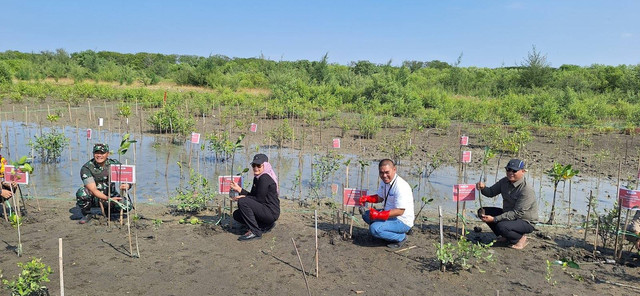 PT Permodalan Nasional Madani (PNM) memberikan sumur bor untuk warga Desa Eretan Wetan dan Desa Ilir, serta menanam pohon mangrove di Pantai Panjiwa Sumbermas Indramayu. Foto: dok. PNM