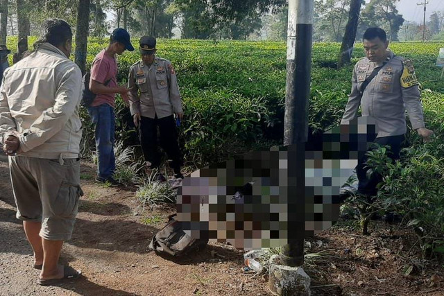 Petugas kepolisian saat mengecek lokasi penemuan dua mayat anak punk yang tewas di pinggir perkebunan teh di Pangalengan. Foto: Dok. Istimewa