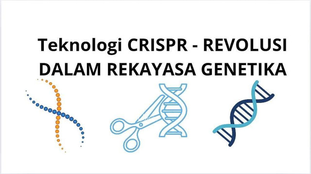 Gambar Teknologi CRIPSR (sumber : dokumen pribadi)