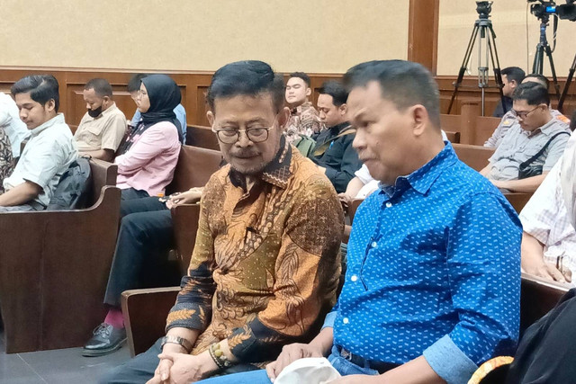 Sidang lanjutan dugaan korupsi Syahrul Yasin Limpo (SYL) di PN Jakarta Pusat, Senin (20/5/2024).  Foto: Hedi/kumparan