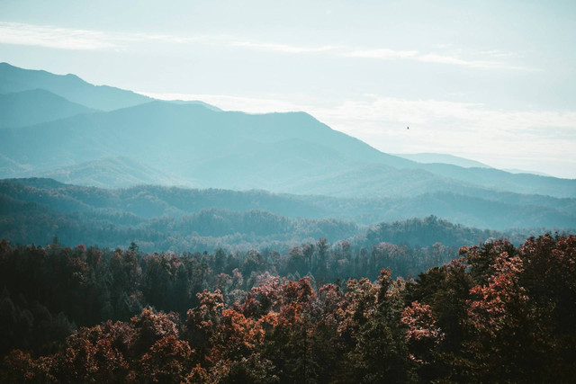 Pegunungan di Bagian Timur Amerika Serikat yang Membentang Hampir Sejajar Samudera Atlantik Sejauh 2.400 km adalah, Sumber Unsplash Sean Foster