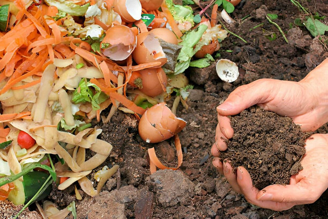 Kompos yang dibuat dari dekomposisi sampah rumah tangga (Sumber: iStock)