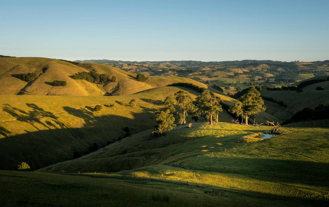 tempat wisata di Victoria Australia. Foto hanya ilustrasi, bukan tempat sebenarnya. Sumber: Unsplash/zac porter