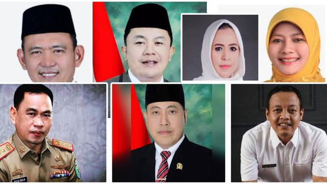 Bakal Calon Bupati Pringsewu 2024 | Foto : Istimewa