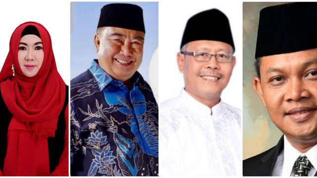 Bakal Calon Bupati Tanggamus 2024 | Foto : Istimewa