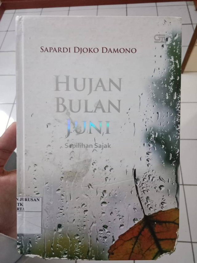 Novel "Hujan Bulan Juni" karya Sapardi Djoko Damono