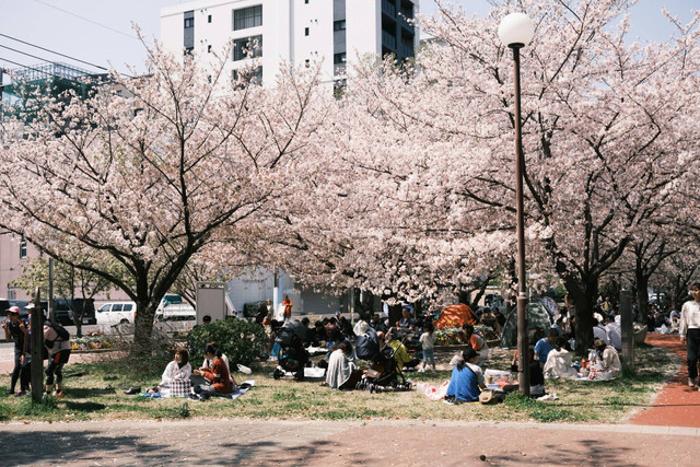 Budaya Jepang. Foto: Unsplash/Nichika Yoshida