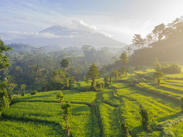 Ilustrasi contoh penerapan pandangan bahwa indonesia adalah sebagai satu kesatuan wilayah ekonomi. Sumber: unsplash.com/GeioTischler.