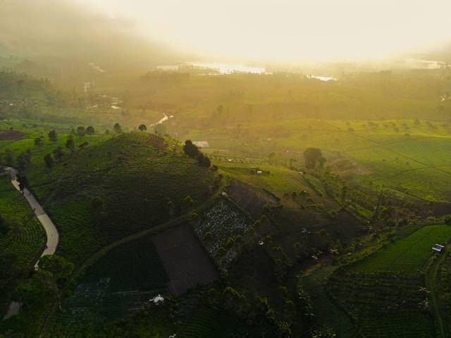 Bukit Senyum Cipada. Foto hanyalah ilustrasi, bukan tempat yang sebenarnya. Sumber: Unsplash/yusup rachman