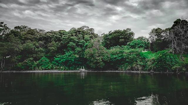 Danau Towuti. Foto hanyalah ilustrasi, bukan tempat yang sebenarnya. Sumber: Unsplash/Fifthgana Alfahrezi