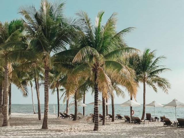 Pantai Klara (Foto hanya ilustrasi, bukan tempat sebenarnya) Sumber: unsplash.com/ Tony Pham