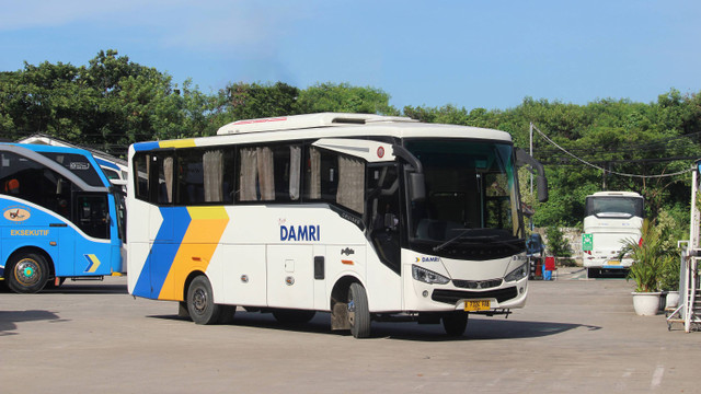 Ilustrasi bus DAMRI. Foto: dok. Damri