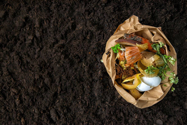 Kompos dapat dibuat dari bahan organik sisa-sisa makanan di rumah (Sumber: iStock)
