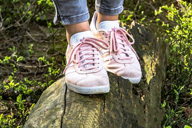 Store Converse di Bogor. Foto hanya ilustrasi, bukan tempat sebenarnya. Sumber: Pixabay/Myriams-Fotos