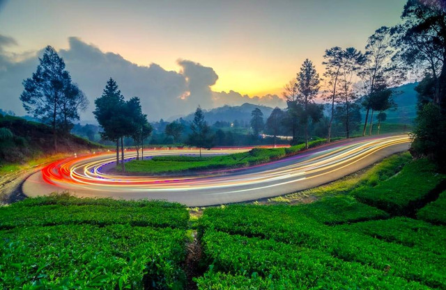 Foto Hanya Ilustrasi Driam Riverside Ciwidey, Bukan Tempat Sebenarnya    Sumber Unsplash/Ache Dipro