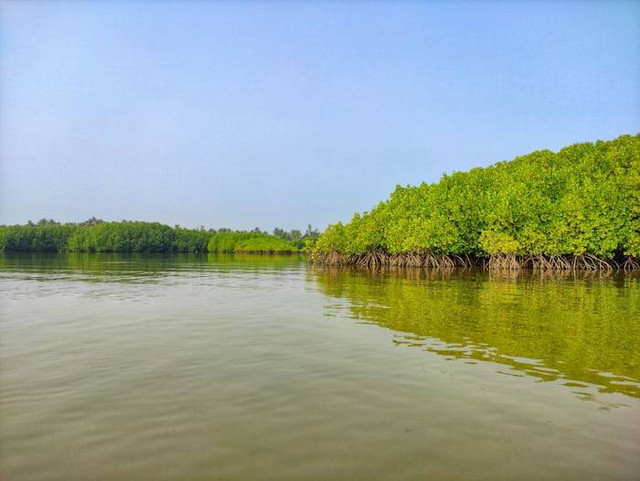 Pulau Handeleum (Foto hanya ilustrasi, bukan tempat sebenarnya) Sumber: unsplash.com/ Vishwasa Navada K