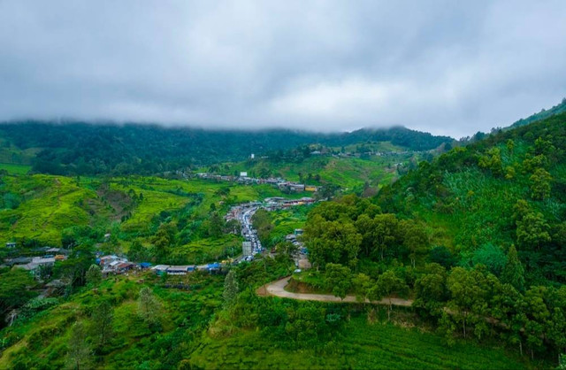 Foto Hanya Ilustrasi Taman Wisata Alam Sevillage, Bukan Tempat Sebenarnya    Sumber Unsplash/Ammar Andiko