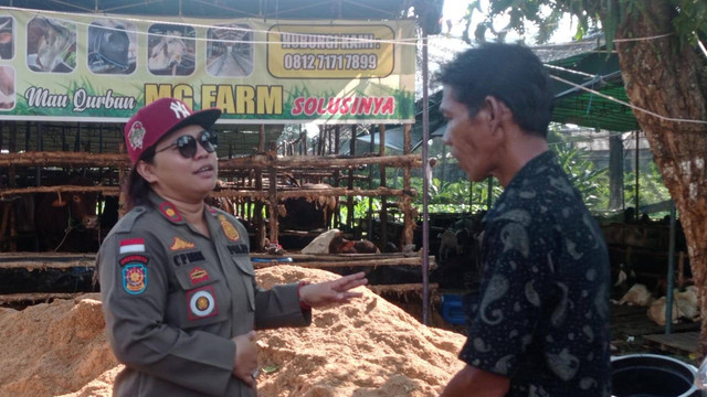 Kepala Bidang Ketertiban Umum dan Ketentraman Masyarakat Satpol-PP Palembang Cherly Panggarbesi, saat mensosialisasikan izin usaha ke pedagang hewan kurban, Foto : Abdul Toriq /Urban Id