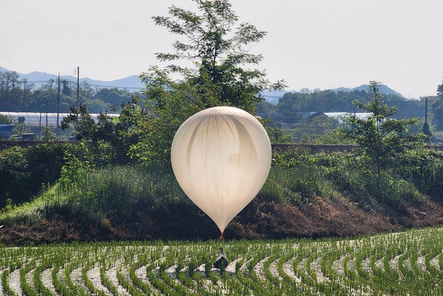 Sebuah balon yang diyakini dikirim dari Korea Utara, membawa berbagai benda termasuk sampah dan kotoran, terlihat di atas sawah di Cheorwon, Korea Selatan, Rabu (29/5/2024). Foto: Yonhap/via REUTERS 