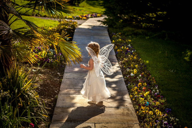 Fairy Garden. Foto hanya sebagai ilustrasi, bukan tempat sebenarnya. Sumber: Unsplash/Daniel Kempe.