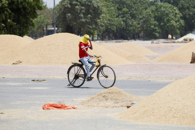 Seorang pria mengendarai sepedanya pada hari musim panas saat gelombang panas terjadi di Narela, New Delhi, India (29/5/2024). Foto: Priyanshu Singh/REUTERS