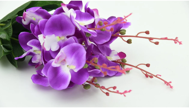 Foto Hanya Ilustrasi: Cara Agar Anggrek Cattleya Cepat Berbunga. Sumber: itemguides.com/Pexels.com